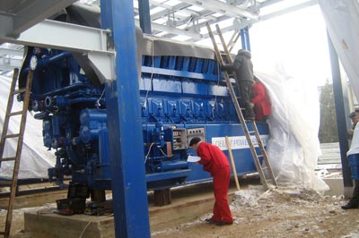 тиротекс энерго