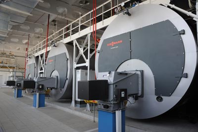 тиротекс энерго